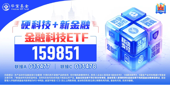 金融科技跳水下挫，同花顺领跌超12%，金融科技ETF（159851）下挫超3%，资金实时申购超2亿份-第2张图片-养花知识-花卉种植与养护技巧