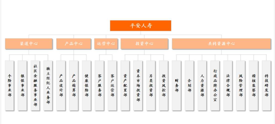 平安人寿副总经理王国平官宣离任-第2张图片-养花知识-花卉种植与养护技巧