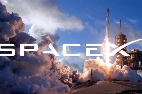 SpaceX就出售内部股票进行初步讨论 估值2550亿美元-第1张图片-养花知识-花卉种植与养护技巧