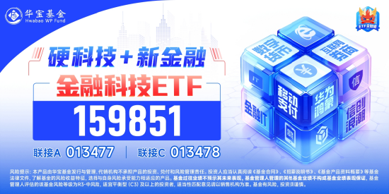 外部扰动加剧，同花顺跌超14%，金融科技ETF（159851）收跌超5%，资金逆行抢筹-第2张图片-养花知识-花卉种植与养护技巧