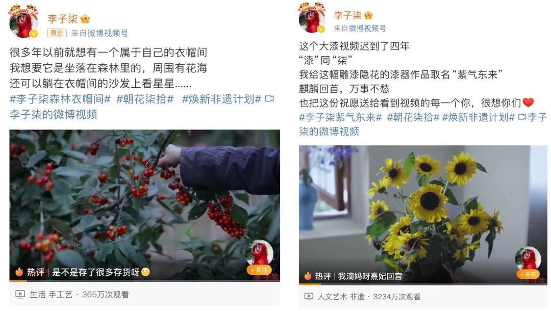 李子柒，一夜涨粉380万-第2张图片-养花知识-花卉种植与养护技巧