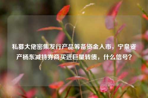 私募大佬密集发行产品筹备资金入市，宁泉资产杨东减持券商买进巨量转债，什么信号？-第1张图片-养花知识-花卉种植与养护技巧