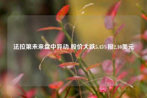 法拉第未来盘中异动 股价大跌5.45%报2.10美元-第1张图片-养花知识-花卉种植与养护技巧