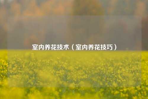 室内养花技术（室内养花技巧）-第1张图片-养花知识-花卉种植与养护技巧