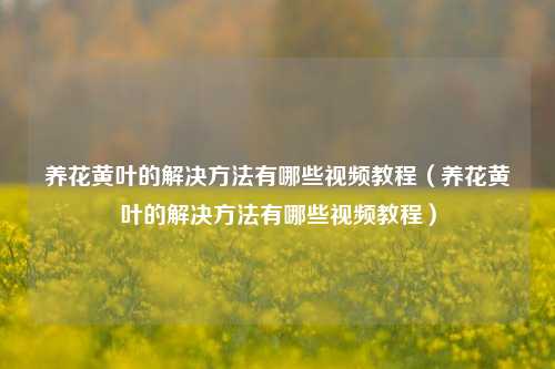 养花黄叶的解决方法有哪些视频教程（养花黄叶的解决方法有哪些视频教程）-第1张图片-养花知识-花卉种植与养护技巧