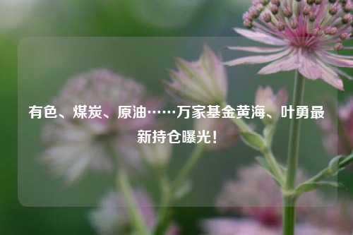 有色、煤炭、原油……万家基金黄海、叶勇最新持仓曝光！-第1张图片-养花知识-花卉种植与养护技巧