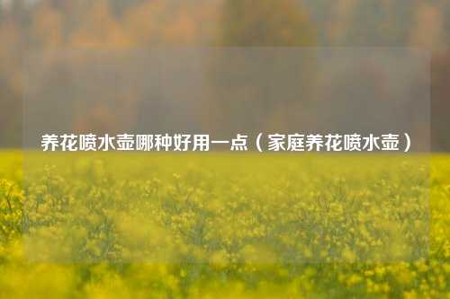 养花喷水壶哪种好用一点（家庭养花喷水壶）-第1张图片-养花知识-花卉种植与养护技巧