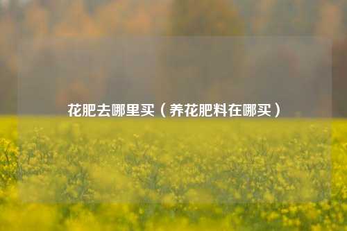 花肥去哪里买（养花肥料在哪买）-第1张图片-养花知识-花卉种植与养护技巧