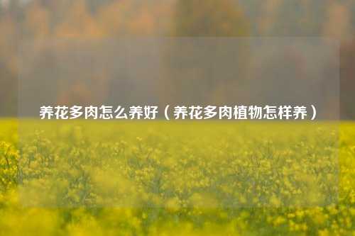 养花多肉怎么养好（养花多肉植物怎样养）-第1张图片-养花知识-花卉种植与养护技巧