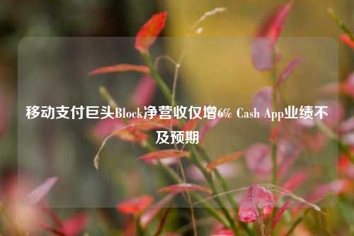 移动支付巨头Block净营收仅增6% Cash App业绩不及预期-第1张图片-养花知识-花卉种植与养护技巧