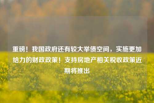 重磅！我国政府还有较大举债空间，实施更加给力的财政政策！支持房地产相关税收政策近期将推出-第1张图片-养花知识-花卉种植与养护技巧