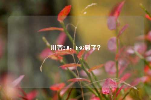 川普2.0，ESG悬了？-第1张图片-养花知识-花卉种植与养护技巧