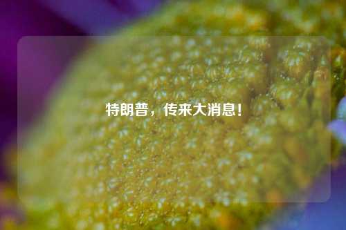 特朗普，传来大消息！-第1张图片-养花知识-花卉种植与养护技巧