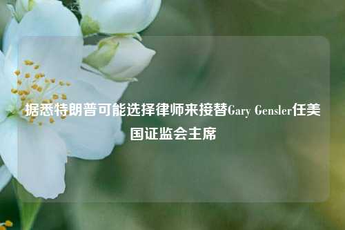 据悉特朗普可能选择律师来接替Gary Gensler任美国证监会主席-第1张图片-养花知识-花卉种植与养护技巧