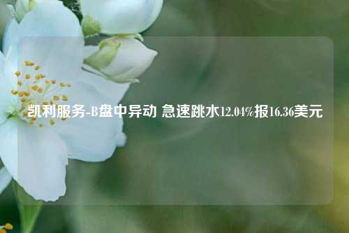 凯利服务-B盘中异动 急速跳水12.04%报16.36美元-第1张图片-养花知识-花卉种植与养护技巧