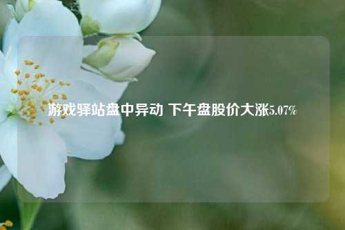 游戏驿站盘中异动 下午盘股价大涨5.07%-第1张图片-养花知识-花卉种植与养护技巧