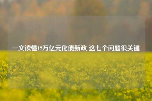 一文读懂12万亿元化债新政 这七个问题很关键-第1张图片-养花知识-花卉种植与养护技巧