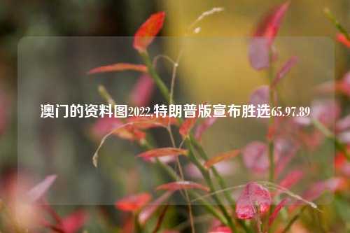 澳门的资料图2022,特朗普版宣布胜选65.97.89-第1张图片-养花知识-花卉种植与养护技巧