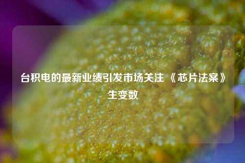 台积电的最新业绩引发市场关注 《芯片法案》生变数-第1张图片-养花知识-花卉种植与养护技巧