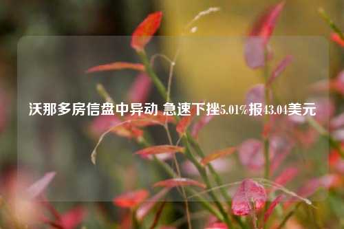 沃那多房信盘中异动 急速下挫5.01%报43.04美元-第1张图片-养花知识-花卉种植与养护技巧