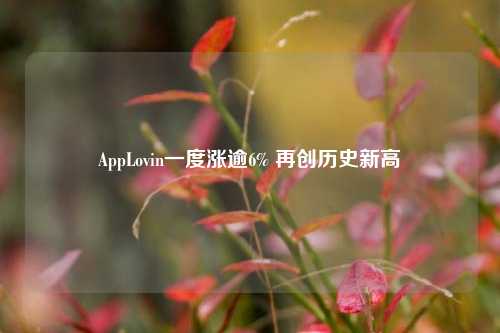 AppLovin一度涨逾6% 再创历史新高-第1张图片-养花知识-花卉种植与养护技巧