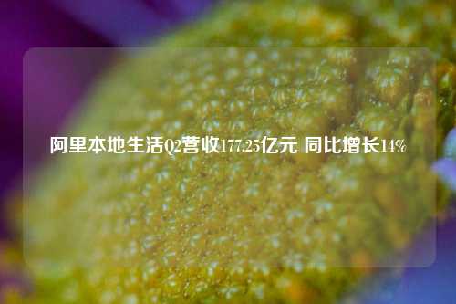 阿里本地生活Q2营收177.25亿元 同比增长14%-第1张图片-养花知识-花卉种植与养护技巧