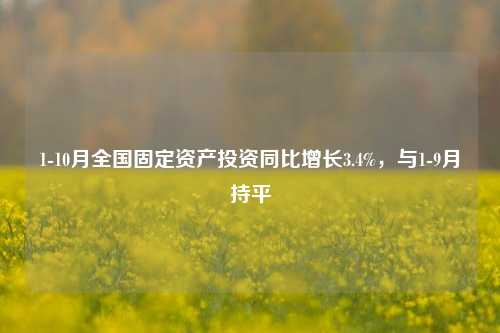 1-10月全国固定资产投资同比增长3.4%，与1-9月持平-第1张图片-养花知识-花卉种植与养护技巧