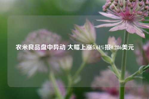 农米良品盘中异动 大幅上涨5.61%报0.286美元-第1张图片-养花知识-花卉种植与养护技巧