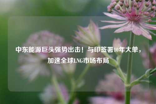 中东能源巨头强势出击！与印签署10年大单，加速全球LNG市场布局-第1张图片-养花知识-花卉种植与养护技巧