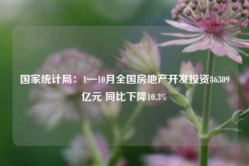 国家统计局：1—10月全国房地产开发投资86309亿元 同比下降10.3%-第1张图片-养花知识-花卉种植与养护技巧