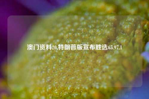 澳门资料20,特朗普版宣布胜选65.97.1-第1张图片-养花知识-花卉种植与养护技巧