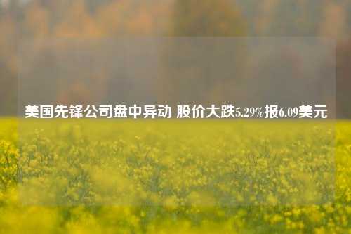 美国先锋公司盘中异动 股价大跌5.29%报6.09美元-第1张图片-养花知识-花卉种植与养护技巧