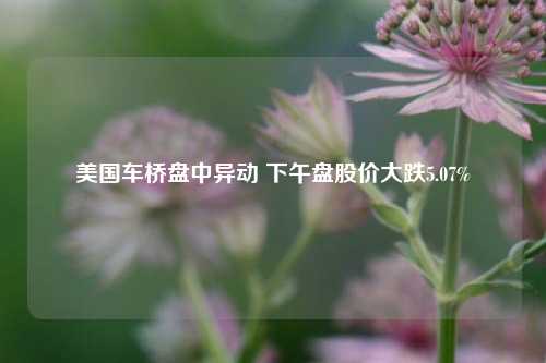 美国车桥盘中异动 下午盘股价大跌5.07%-第1张图片-养花知识-花卉种植与养护技巧