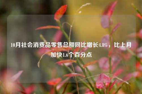 10月社会消费品零售总额同比增长4.8%，比上月加快1.6个百分点-第1张图片-养花知识-花卉种植与养护技巧