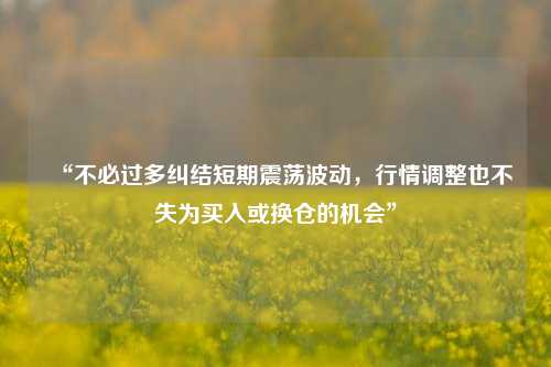 “不必过多纠结短期震荡波动，行情调整也不失为买入或换仓的机会”-第1张图片-养花知识-花卉种植与养护技巧