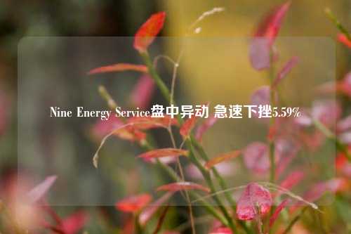 Nine Energy Service盘中异动 急速下挫5.59%-第1张图片-养花知识-花卉种植与养护技巧