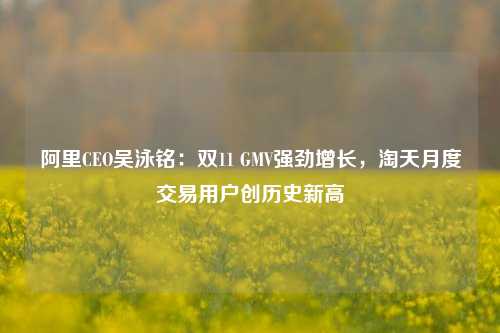 阿里CEO吴泳铭：双11 GMV强劲增长，淘天月度交易用户创历史新高-第1张图片-养花知识-花卉种植与养护技巧