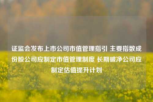 证监会发布上市公司市值管理指引 主要指数成份股公司应制定市值管理制度 长期破净公司应制定估值提升计划-第1张图片-养花知识-花卉种植与养护技巧