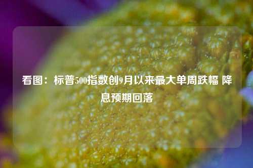 看图：标普500指数创9月以来最大单周跌幅 降息预期回落-第1张图片-养花知识-花卉种植与养护技巧