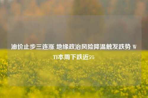 油价止步三连涨 地缘政治风险降温触发跌势 WTI本周下跌近5%-第1张图片-养花知识-花卉种植与养护技巧