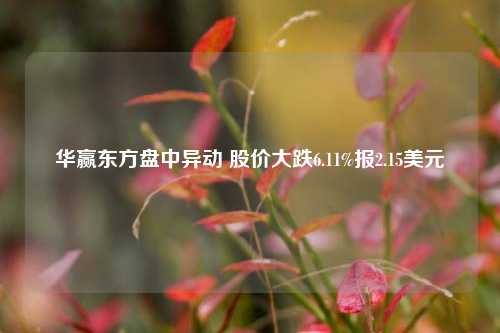 华赢东方盘中异动 股价大跌6.11%报2.15美元-第1张图片-养花知识-花卉种植与养护技巧