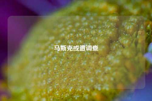 马斯克或遭调查-第1张图片-养花知识-花卉种植与养护技巧