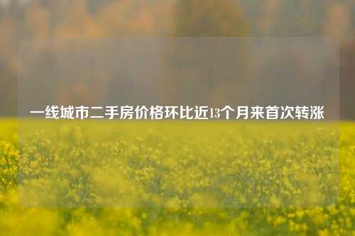 一线城市二手房价格环比近13个月来首次转涨-第1张图片-养花知识-花卉种植与养护技巧