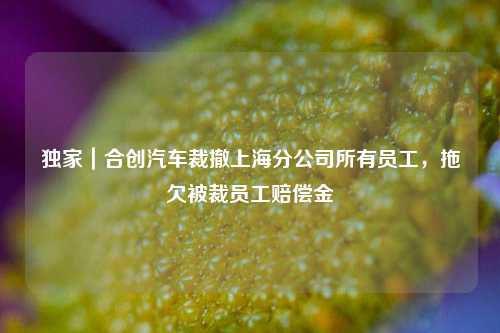 独家｜合创汽车裁撤上海分公司所有员工，拖欠被裁员工赔偿金-第1张图片-养花知识-花卉种植与养护技巧