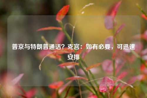 普京与特朗普通话？克宫：如有必要，可迅速安排-第1张图片-养花知识-花卉种植与养护技巧