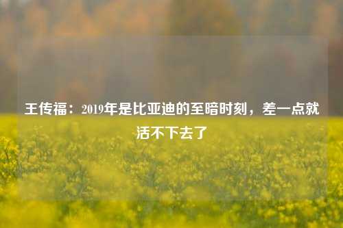 王传福：2019年是比亚迪的至暗时刻，差一点就活不下去了-第1张图片-养花知识-花卉种植与养护技巧