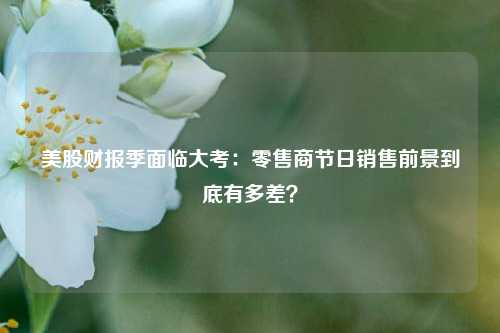 美股财报季面临大考：零售商节日销售前景到底有多差？-第1张图片-养花知识-花卉种植与养护技巧