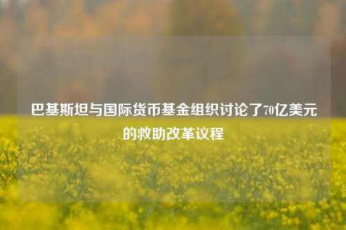 巴基斯坦与国际货币基金组织讨论了70亿美元的救助改革议程-第1张图片-养花知识-花卉种植与养护技巧