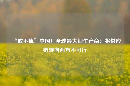 “戒不掉”中国！全球最大锂生产商：将供应链转向西方不可行-第1张图片-养花知识-花卉种植与养护技巧