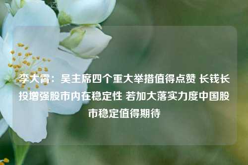 李大霄：吴主席四个重大举措值得点赞 长钱长投增强股市内在稳定性 若加大落实力度中国股市稳定值得期待-第1张图片-养花知识-花卉种植与养护技巧